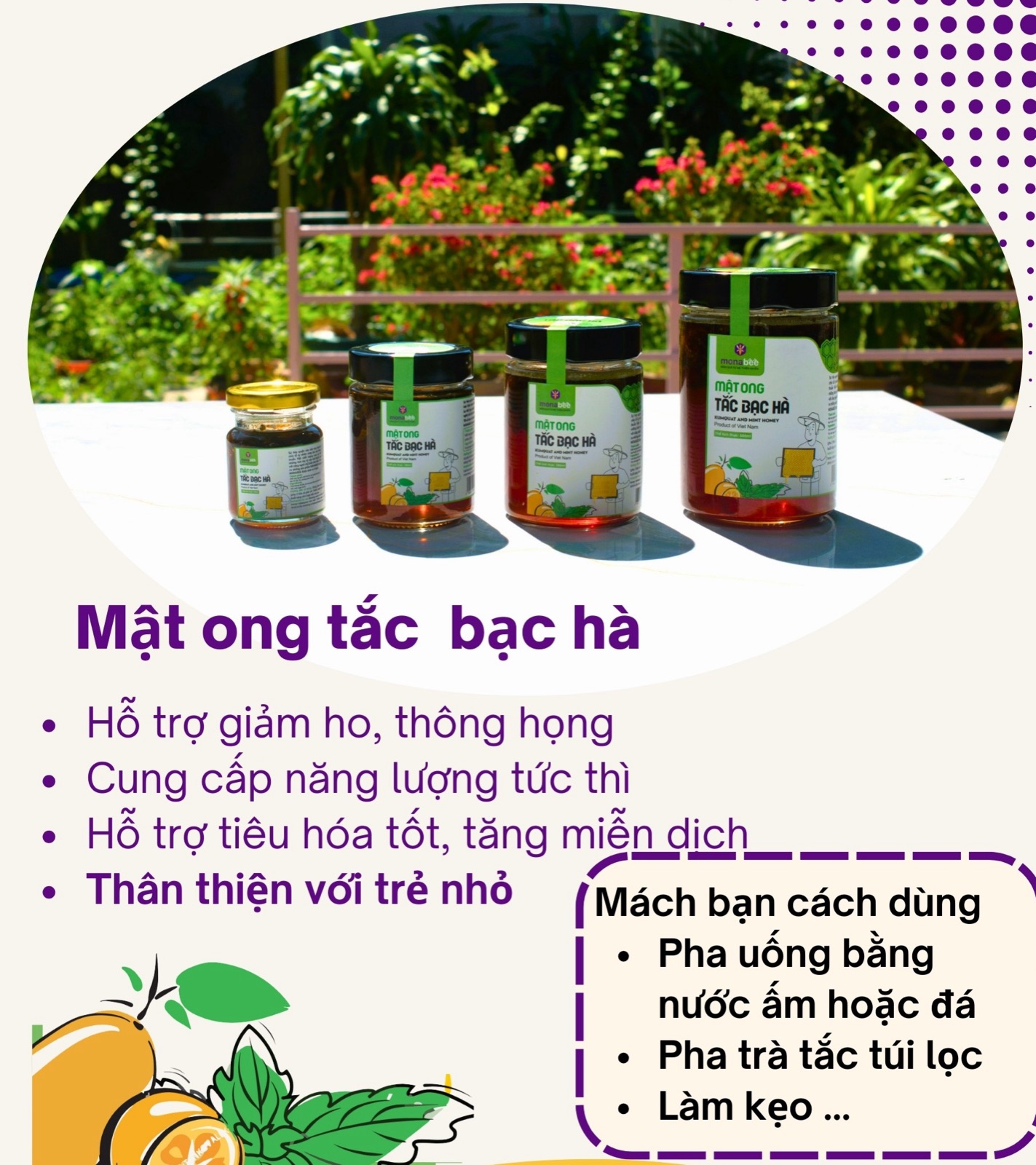 Mật Ong Tắc Bạc Hà Monabee: Sự kết hợp hoàn hảo giữa mật ong và các thảo dược quý